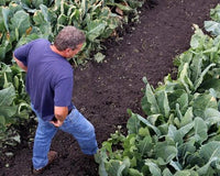 Research at Factors Farms - Natural Factors USA