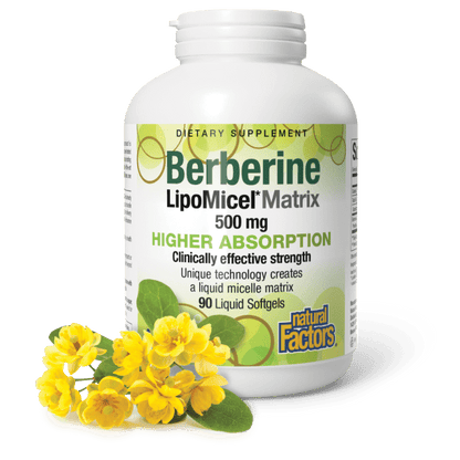 Berberine LipoMicel Matrix