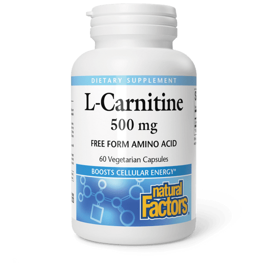 L-Carnitine Amino Acid
